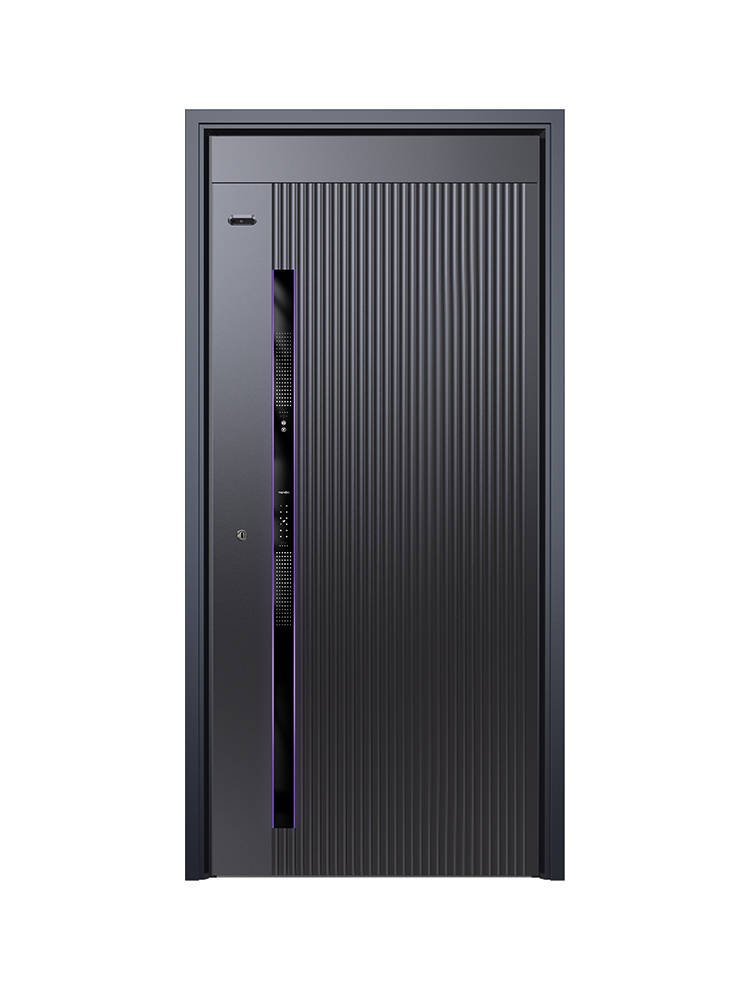 轻奢入户门搭配效果图_轻奢入户门品牌_轻奢高端入户门