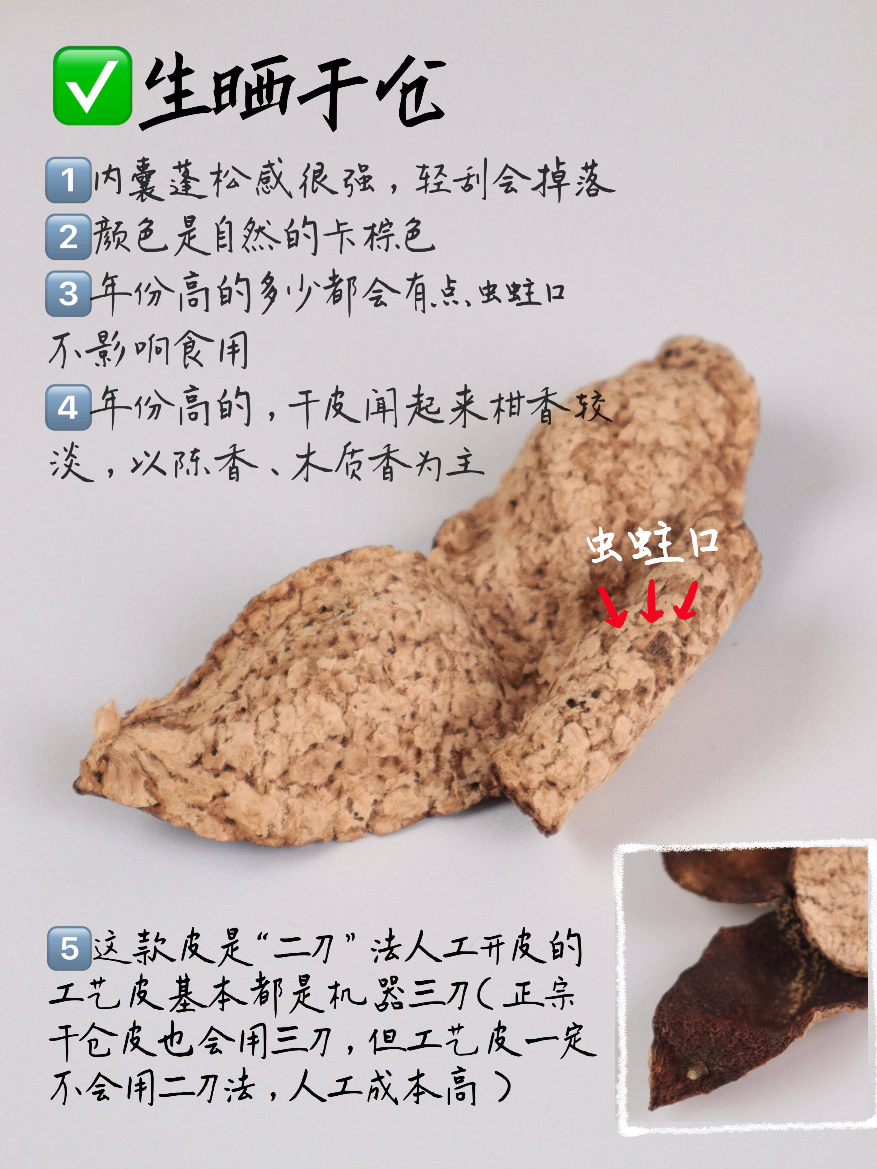 5克陈皮图片