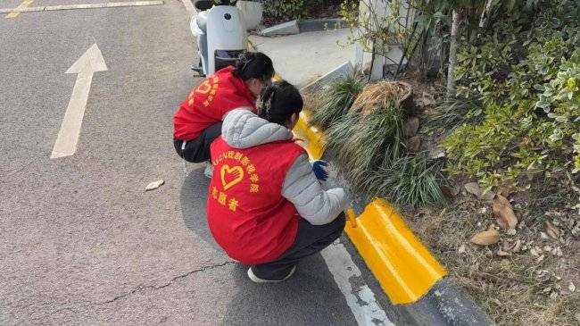 修文路社区民兵“上阵”助力保利梧桐语小区环境出新(图4)