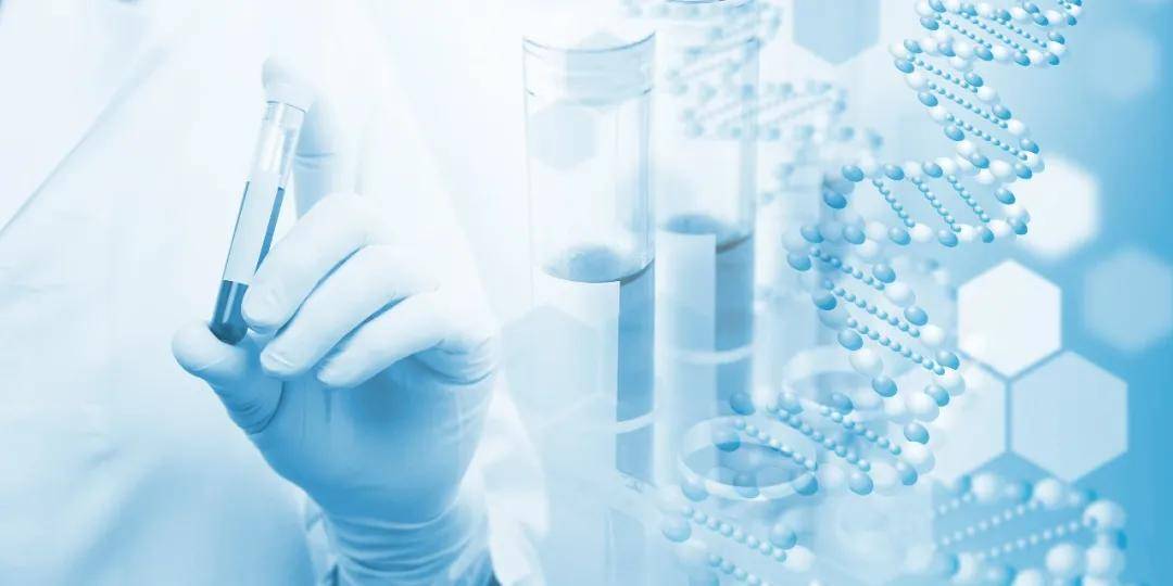 你的梳妆台上，可能藏着一项国家战略-锋巢网