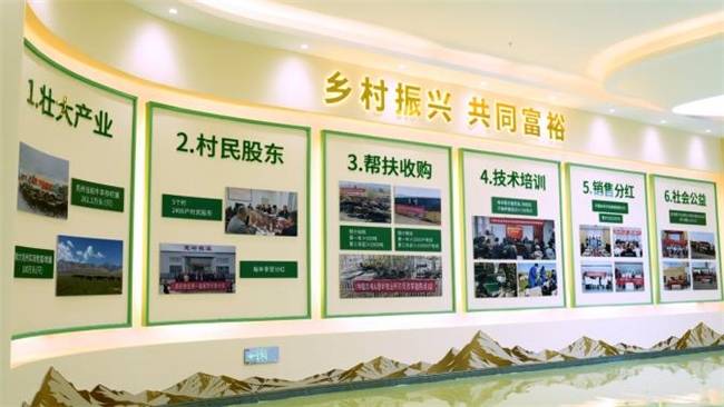 产业兴边结硕果 富民固边谱新篇 华电帮扶"葱岭小羊"项目点亮帕米尔高原牧民增收路_https://www.izongheng.net_快讯_第6张