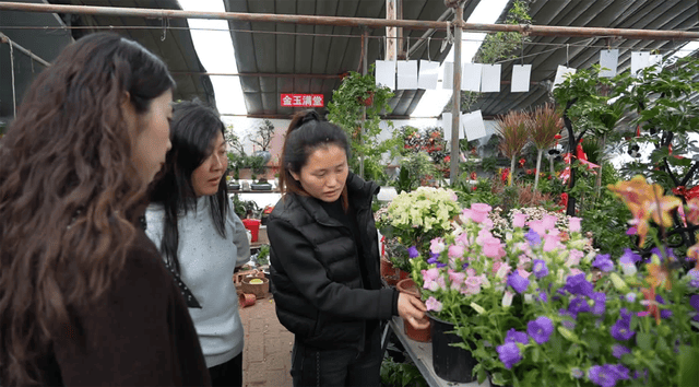 花卉种植批发基地
