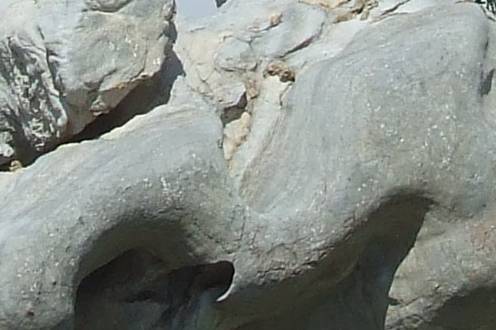 亚马逊收购Fauna Robotics背后：伟创动力如何看待人形机器人关节舵机趋势