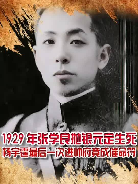 1929年张学良抛银元定生死,杨宇霆最后一次进帅府,竟成催命符