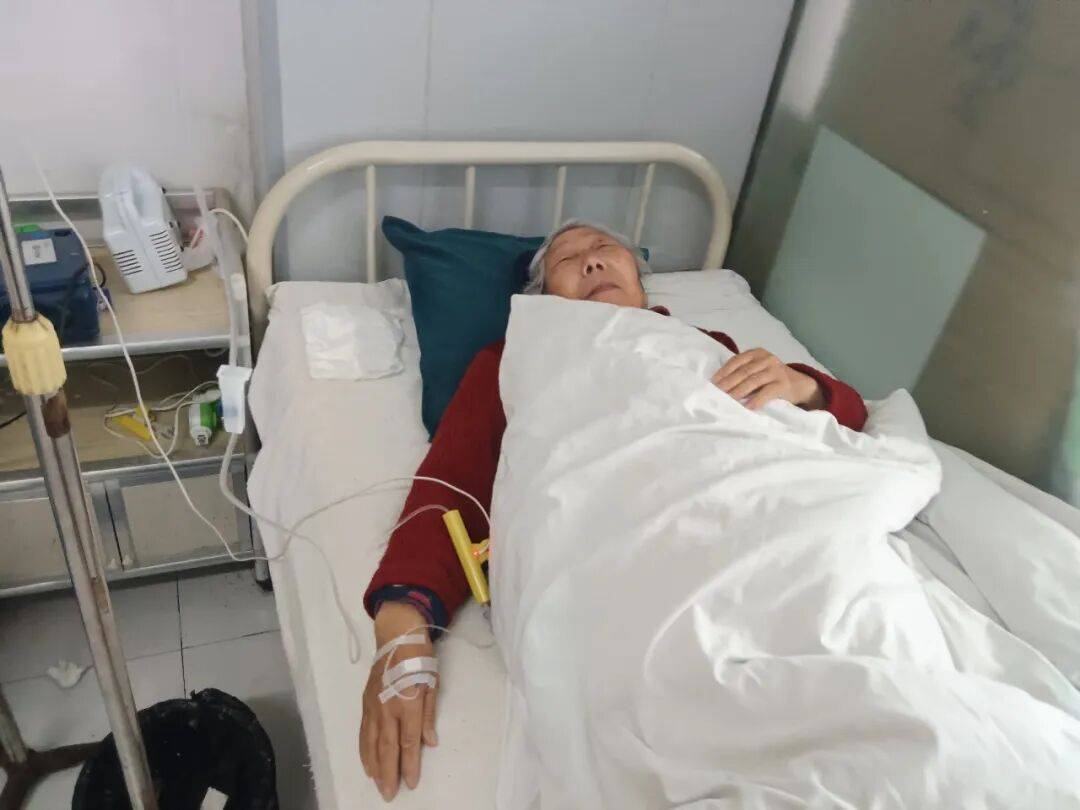 �賿�ĵ���ػ��������´塰�Ҹ������š���Ŀ�ɹ�������Ѯ��������