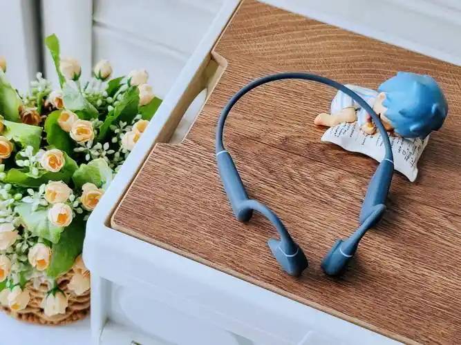 骑行戴什么耳机合适？盘点2026年十款热门运动耳机测评分享，稳固不掉