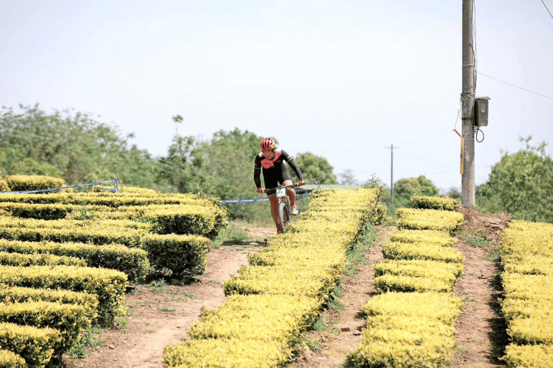 2026长三角自行车联赛·芜湖湾沚站鸣枪开赛