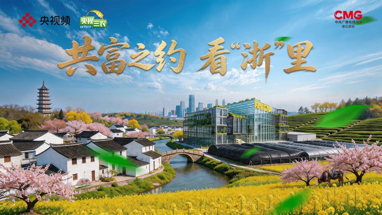 共富之约：浙江生动作答，解码共富密码