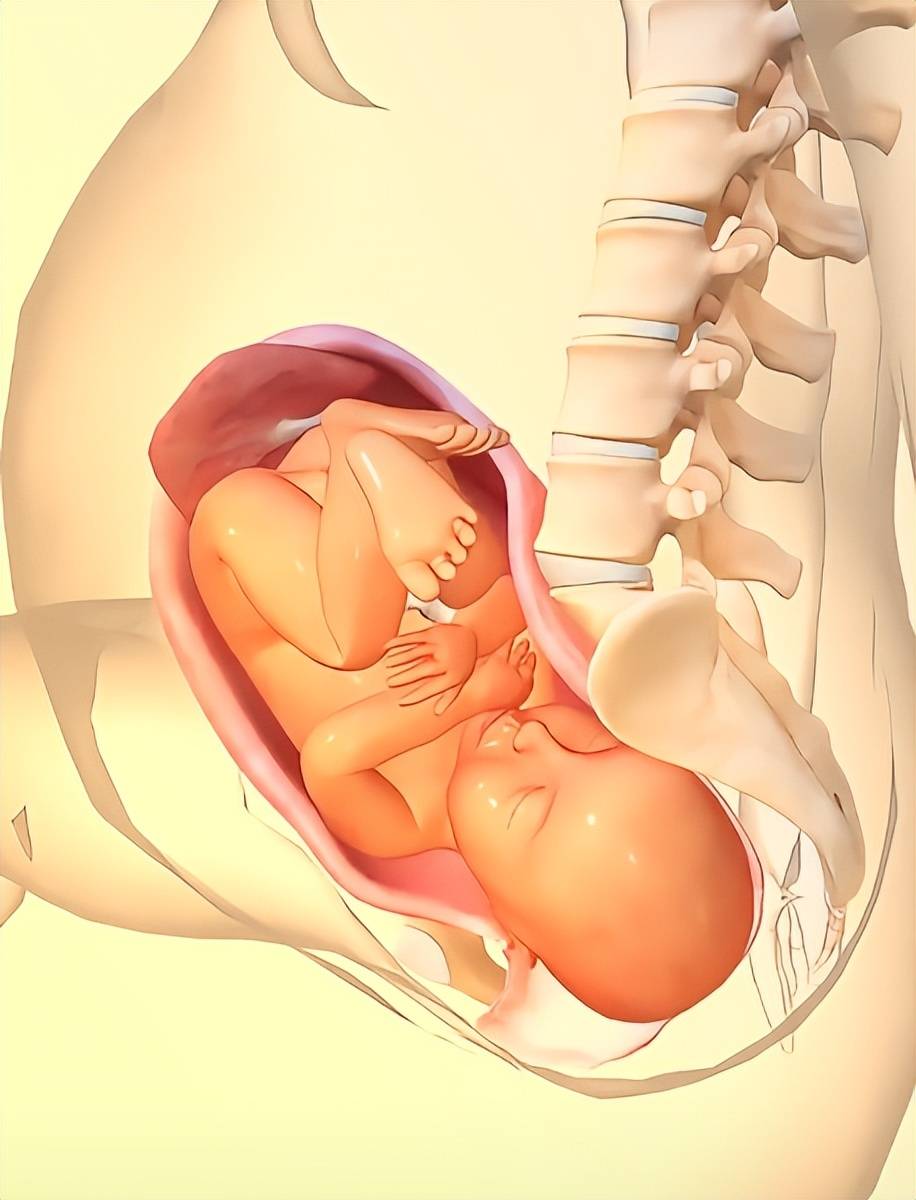 顺产的时候宝宝在子宫里干嘛？这张图告诉你