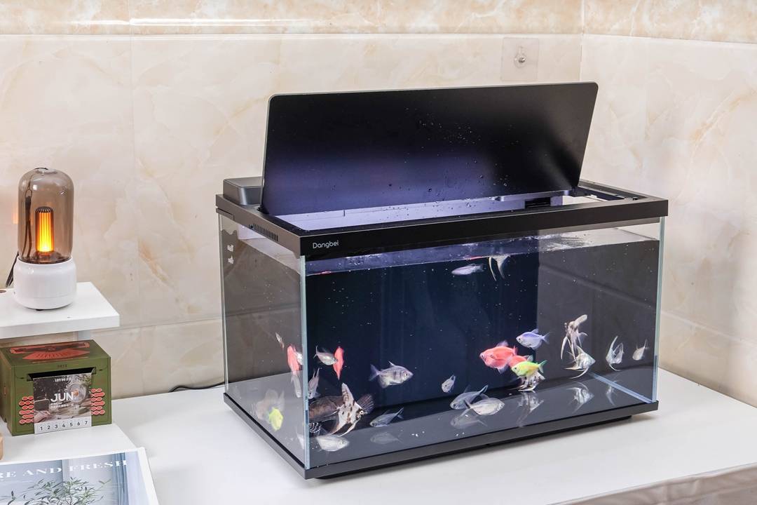 当贝智能鱼缸2S Ultra体验：真正让懒人也能养好鱼的“终点站”