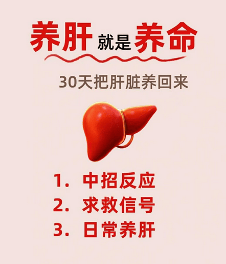 护肝养肝怎么吃？日常保肝排毒实用方法
