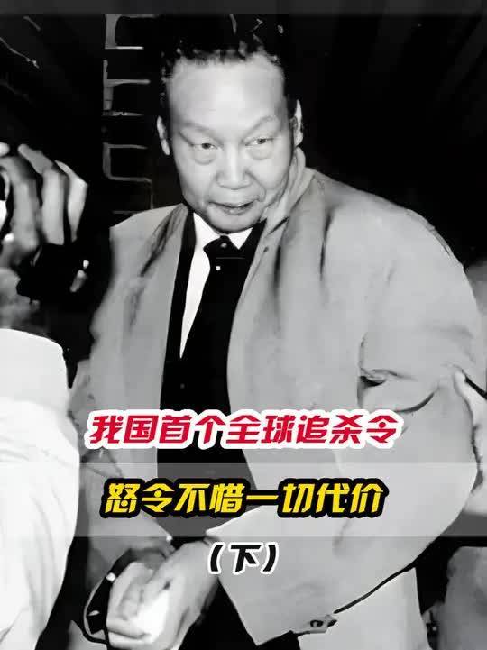 高层领导下达追杀令,不计代价全球追捕一人,无需审问直接枪毙