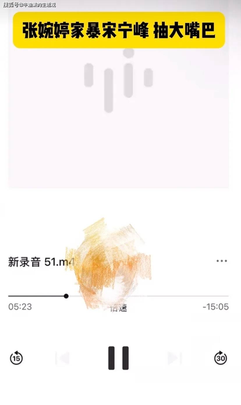 原创            张婉婷家暴宋宁峰录音流出，薅头发打耳光踢飞三米远，婚姻太窒息了