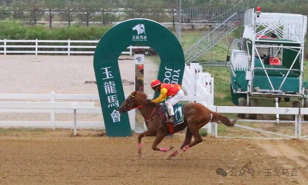 文章配图-1