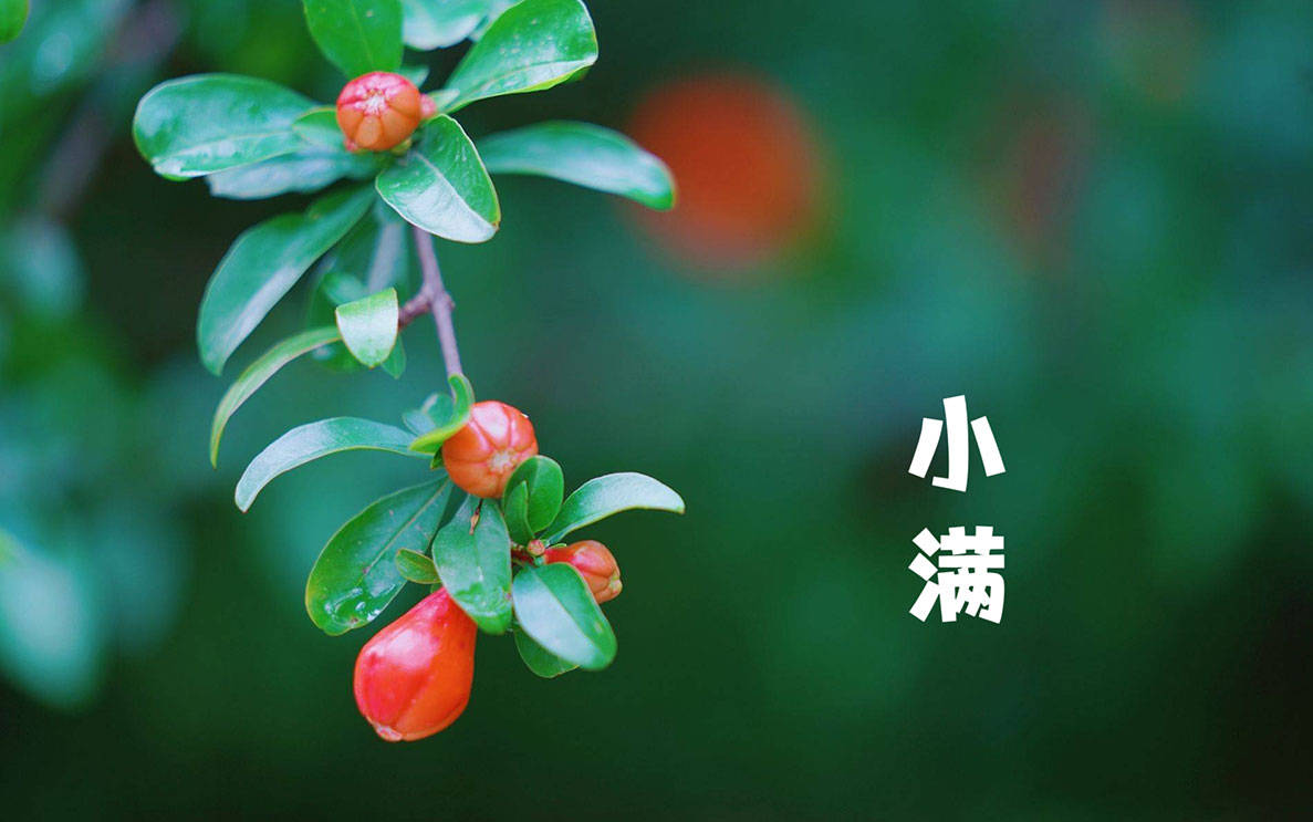原创            明日小满，提醒家人管住嘴：3样多吃，3样不吃，顺时而食，合理进补，健康顺利过夏天