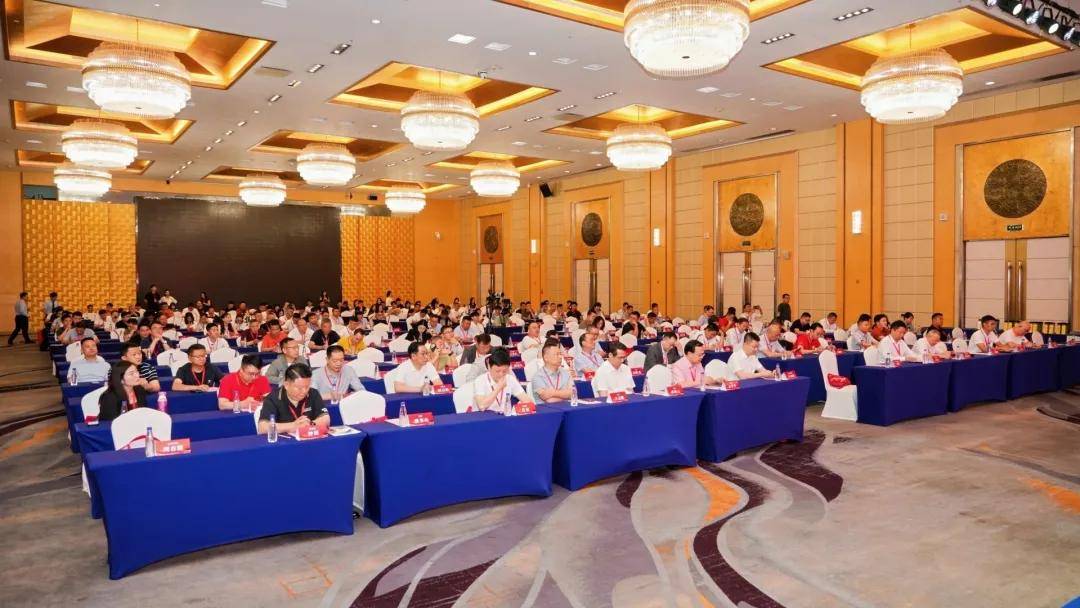 涂视野丨中装材贤冬第三届仿石涂料峰会“献策” ：四招擦亮国产仿石涂料金字招牌 