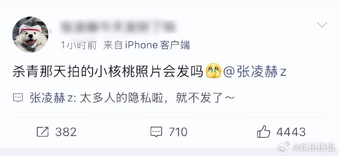 原创            张凌赫回应杀青那天拍的小核桃照片会发吗：太多人的隐私就不发了