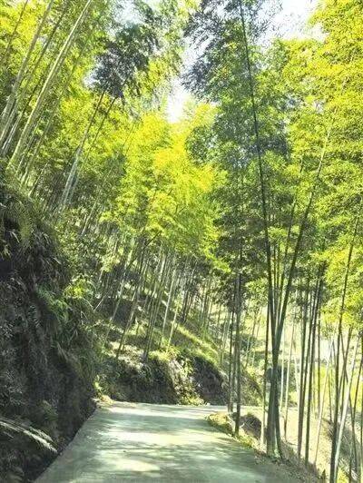 文章配图-1