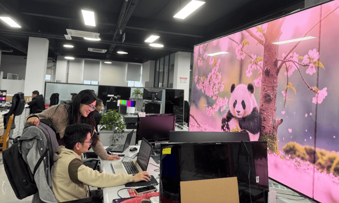 图片