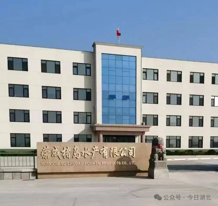 山东荣成：东楮岛村集体企业改制遭实名质疑 ，九千余亩海域及船队被指隐匿侵占(图1)