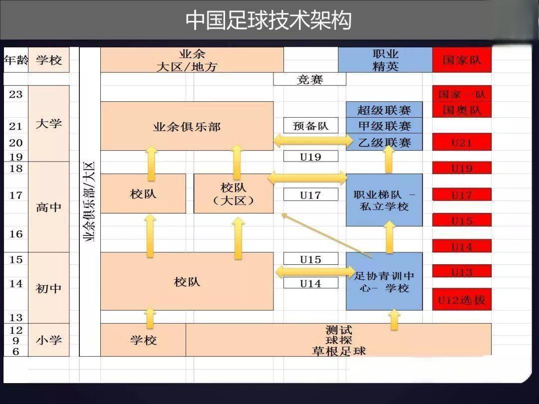 6.13日：董路无证青训夺冠引发争议：中国足球容不下一条鲶鱼？