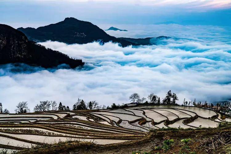 文章配图-5