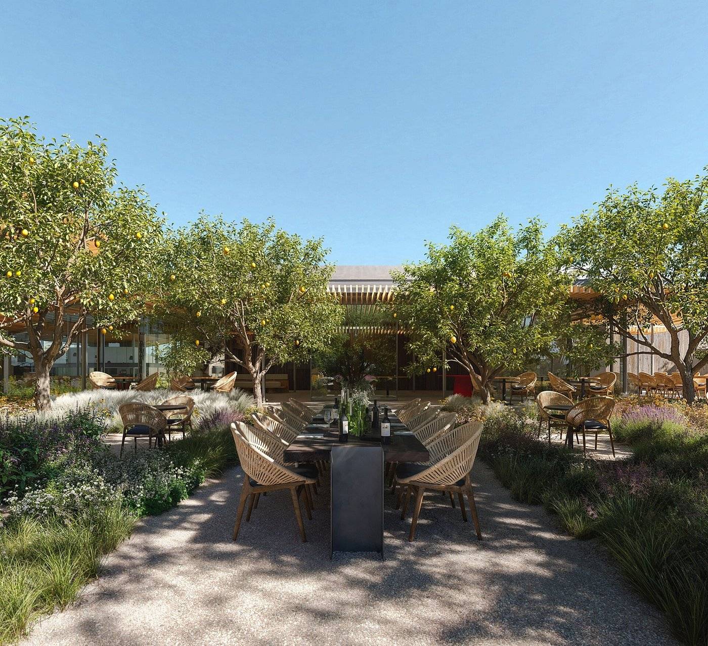 in-our-chef-s-garden.jpg