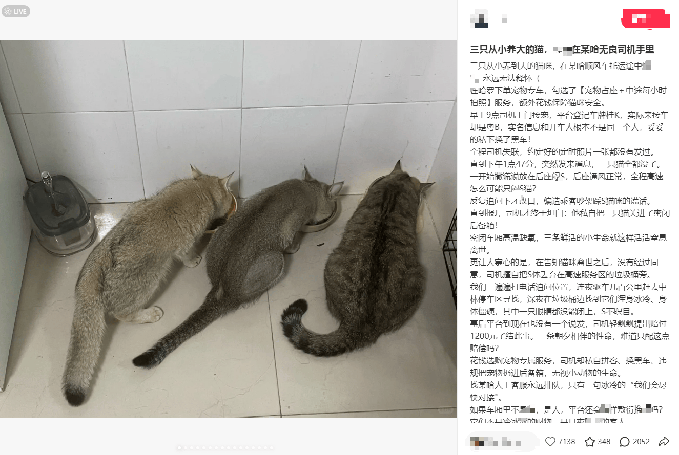 多位用户称哈啰送宠平台托运宠物遭遇宠物死亡:司机信息不符(图2) 文章配图-1
