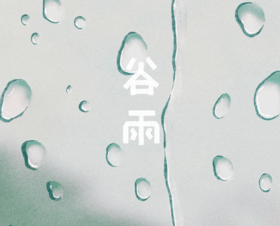 谷雨祛湿养脾胃，德元升带你顺应节气轻养生