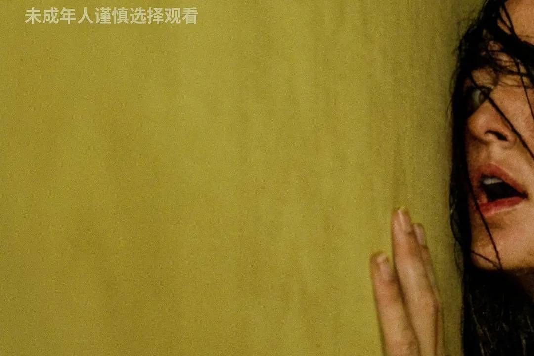 《恐怖游轮》6天4000万《后室》累计1.8亿 恐怖片是门好生意封面图