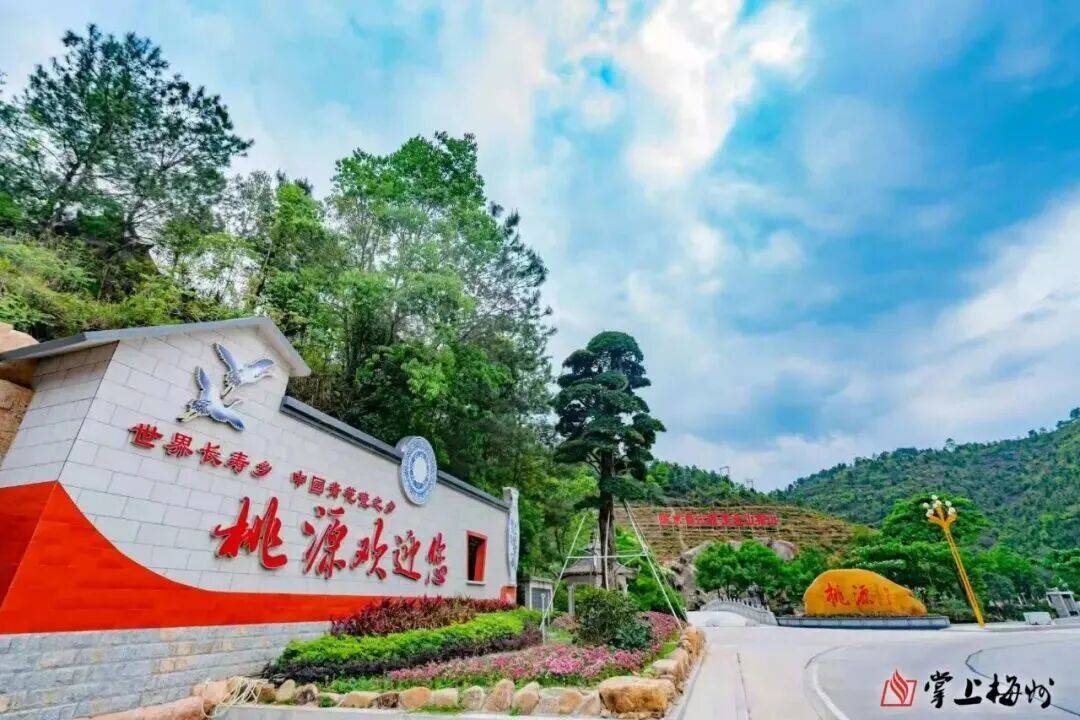三股力量拧成一股绳——梅州大埔县桃源镇推进“百千万工程”的联动实践(图4)