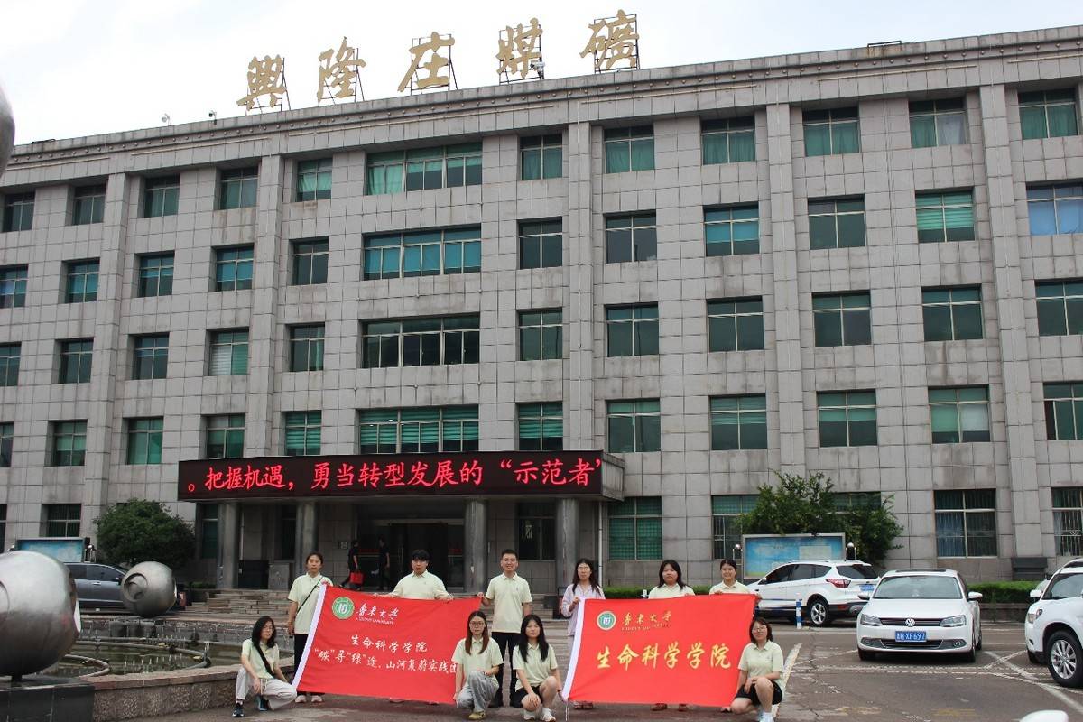 深耕矿区生态调研 青春实践提炼实干经验——鲁东大学“碳”寻“绿”途实践团总结兖州生态修复实践成果(图3) 深耕矿区生态调研 青春实践提炼实干经验——鲁东大学“碳”寻“绿”途实践团总结兖州生态修复实践成果(图3)