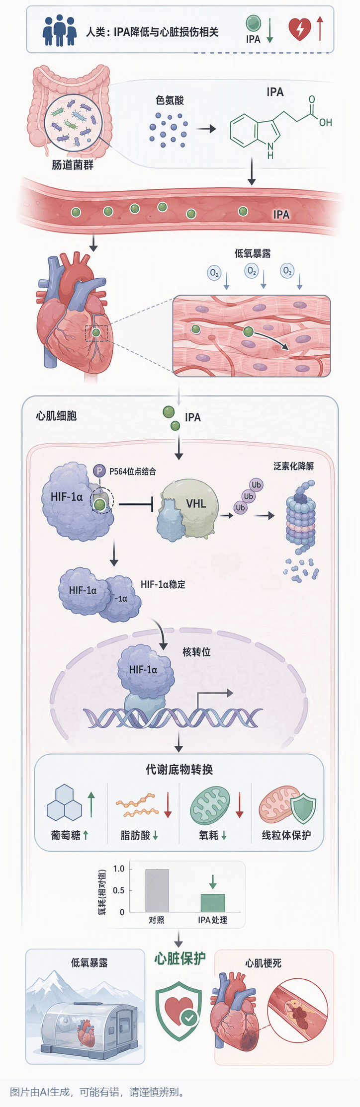 Graphical Abstract