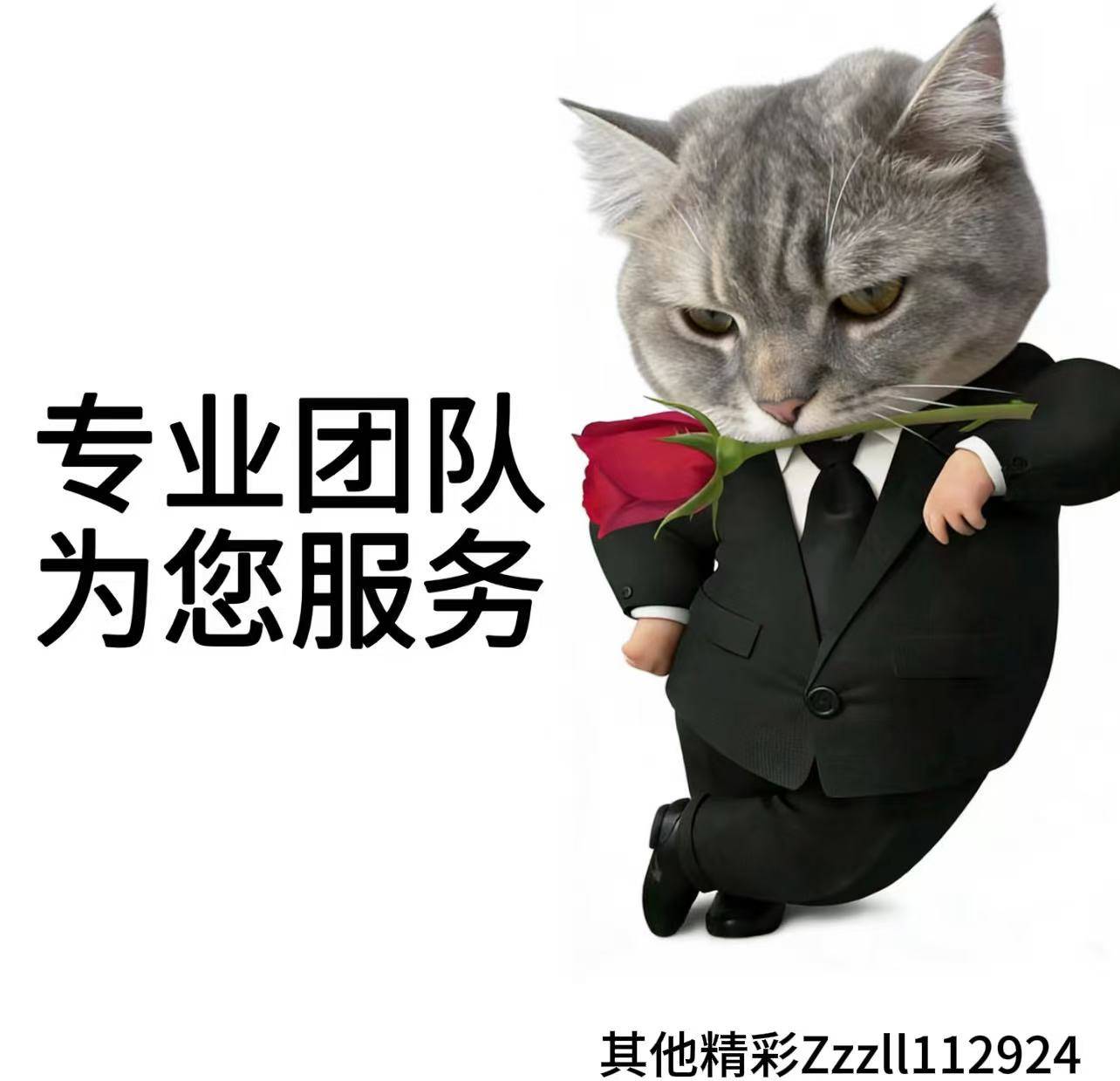 帕德博恩