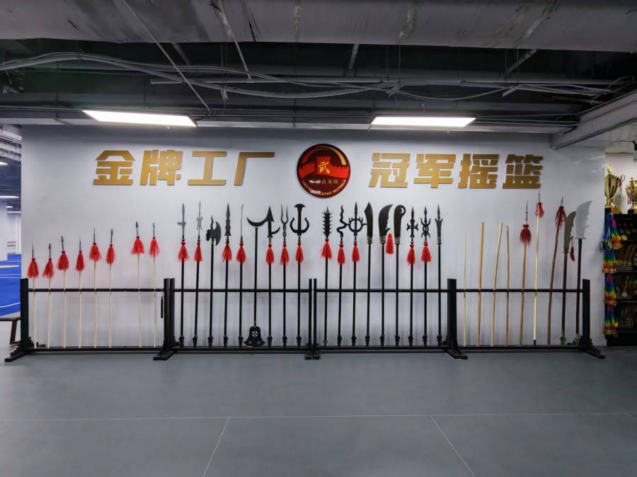想学习武术及相关搏击技能沈阳地区有哪些合规的培训选择