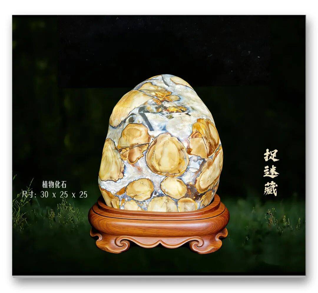 文章配图-15