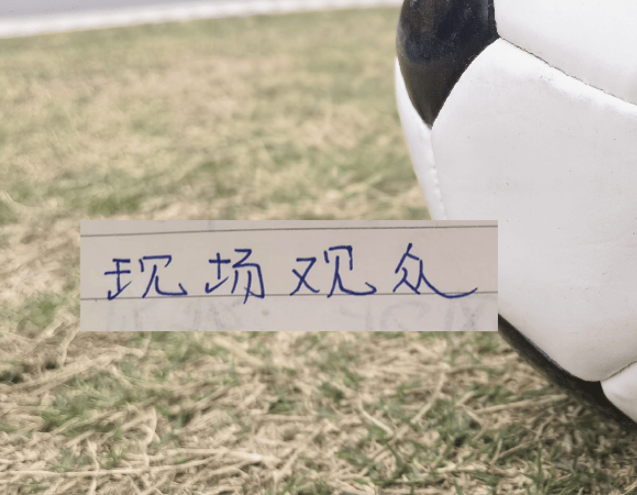 第22轮现场观众！北京国安工体上座率不敌大连英博梭鱼湾