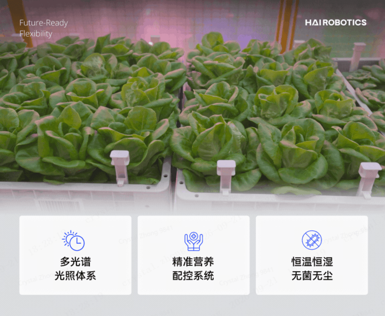 950平米种植区年产180吨!海柔创新仓储机器人让植物工厂重新定义农业产能(图4) 950平米种植区年产180吨!海柔创新仓储机器人让植物工厂重新定义农业产能(图4)