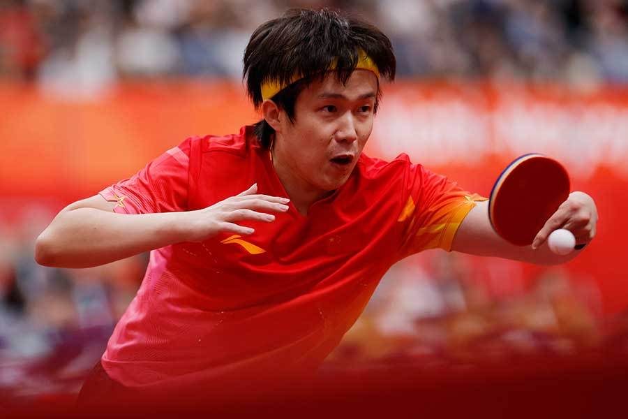 多国媒体报道：王楚钦女粉坐轮椅观战，突然行走离开座椅跪地疯狂拍摄