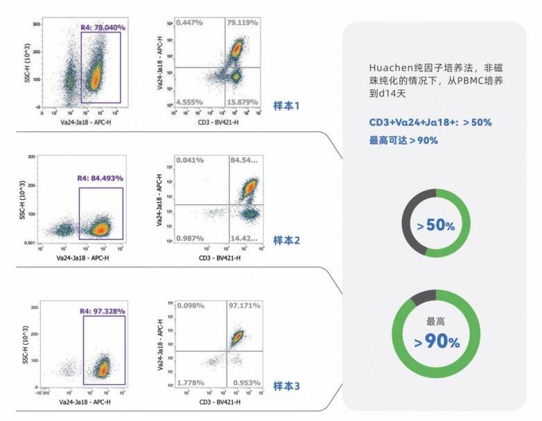华辰生物iNKT细胞高效激活扩增试剂盒正式上市,助力通用型免疫细胞治疗(图10) 华辰生物iNKT细胞高效激活扩增试剂盒正式上市,助力通用型免疫细胞治疗(图10)