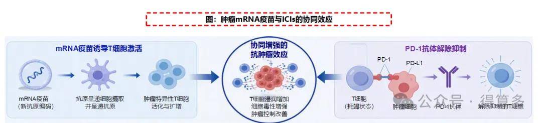 文章配图-2