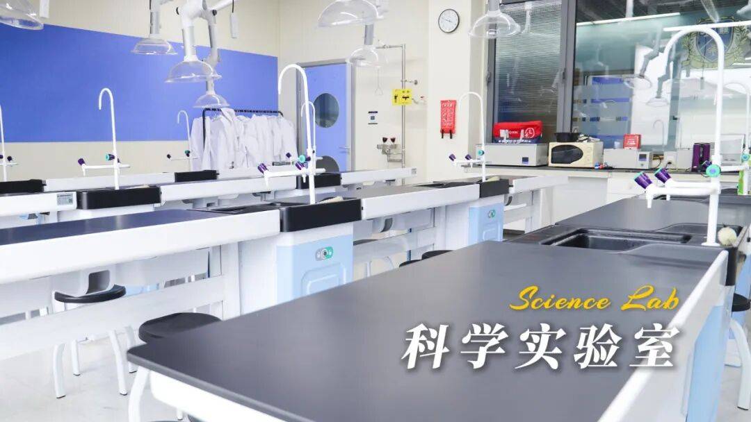 文章配图-2