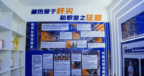 云南本地青少年台球青训怎么选?正规教学基地考察细则