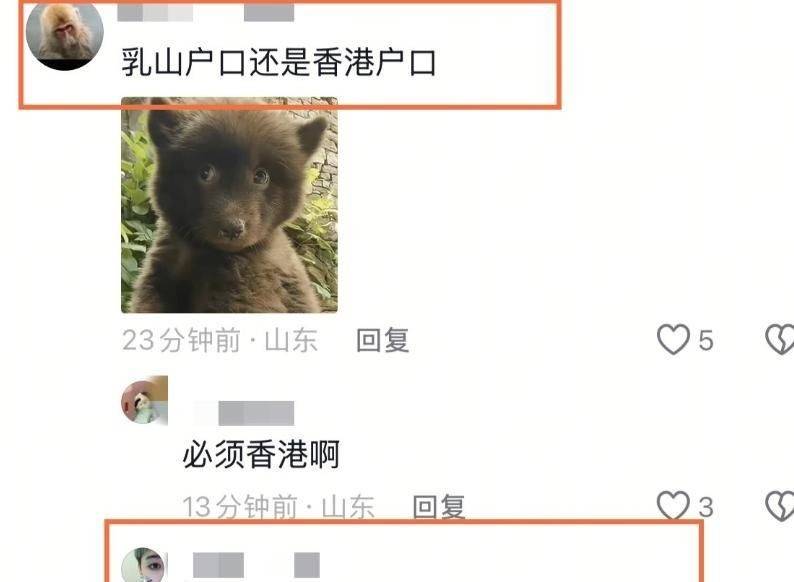 文章配图-3