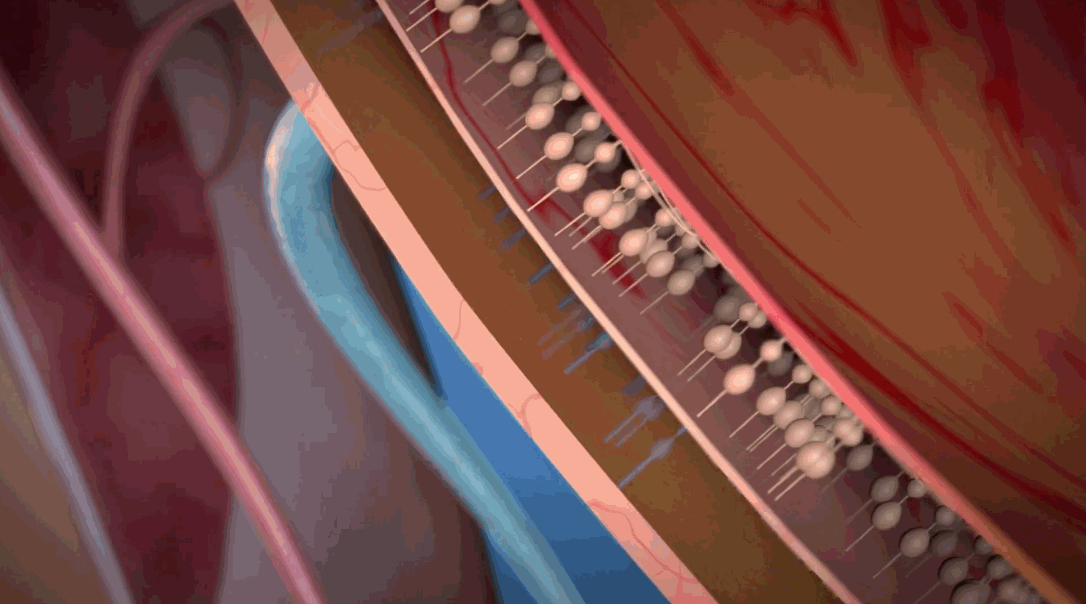 一副 AI 眼镜,让 500 万盲人有了重见光明的希望