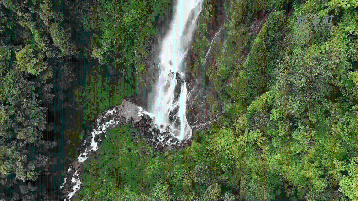 云南宁洱：深山悬飞瀑 山麂入画来