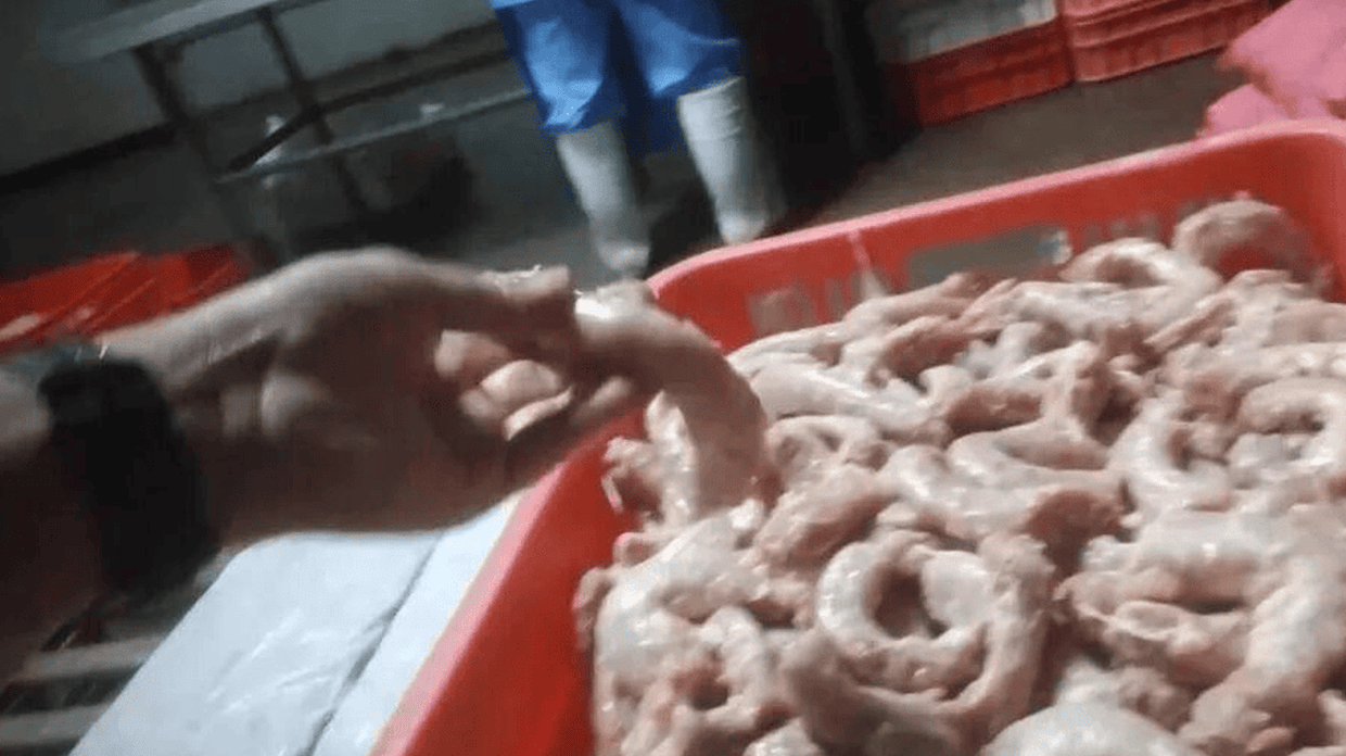 多家工厂被曝用鸡肉泥做烤肠、丸子、水饺