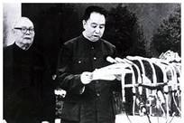 76年叶帅力主邓小平复出，三人阻挠投下反对票，最后一个出人意料