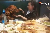 大连一烧烤店内女子用铁签给狗撸串，市监局介入后店铺停业整顿，店主回应