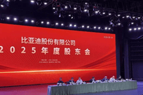 股民哽咽问比亚迪前景 王传福回应